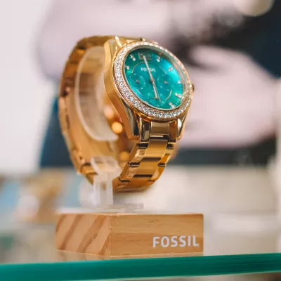 Rel&oacute;gio F&oacute;ssil 